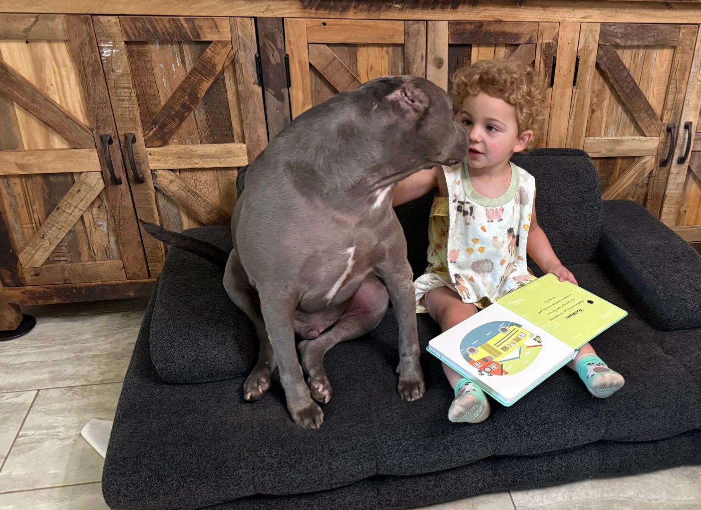 Phoenix sitting on a dog bed next to a toddler reading a book