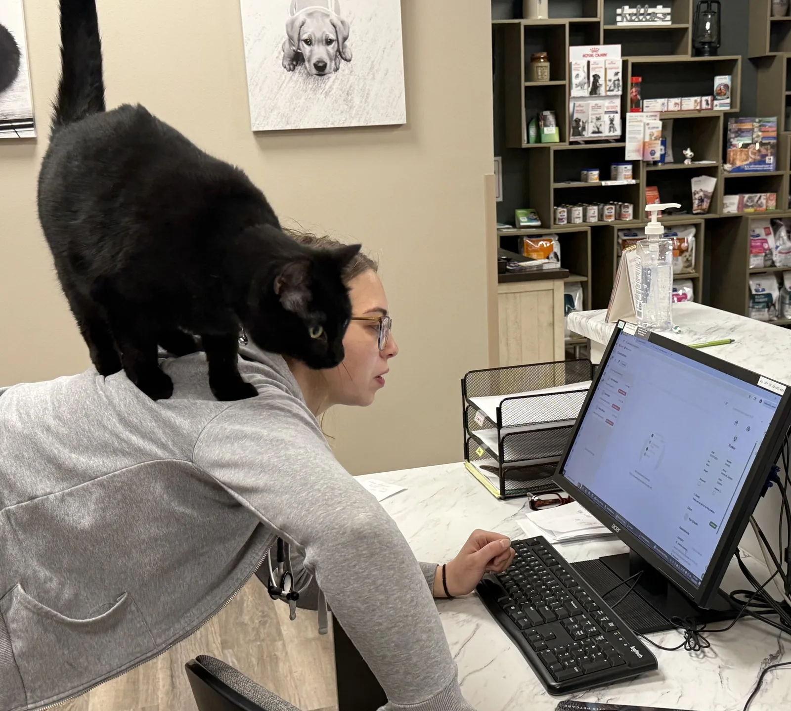 The clinic cat perched on a team member's back at the front desk &mdash; a glimpse of daily life at Lewis & Clark