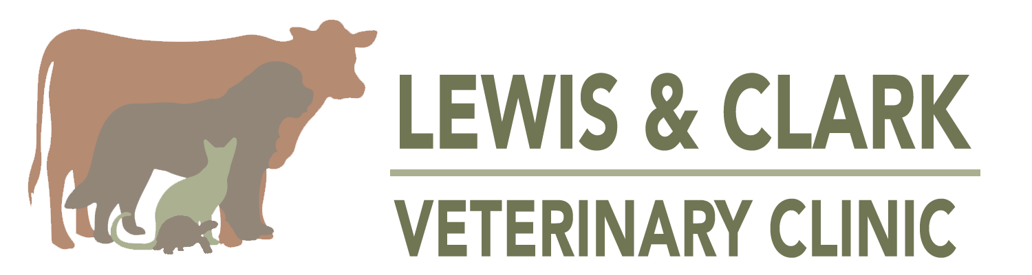 Lewis and Clark Veterinary Clinic